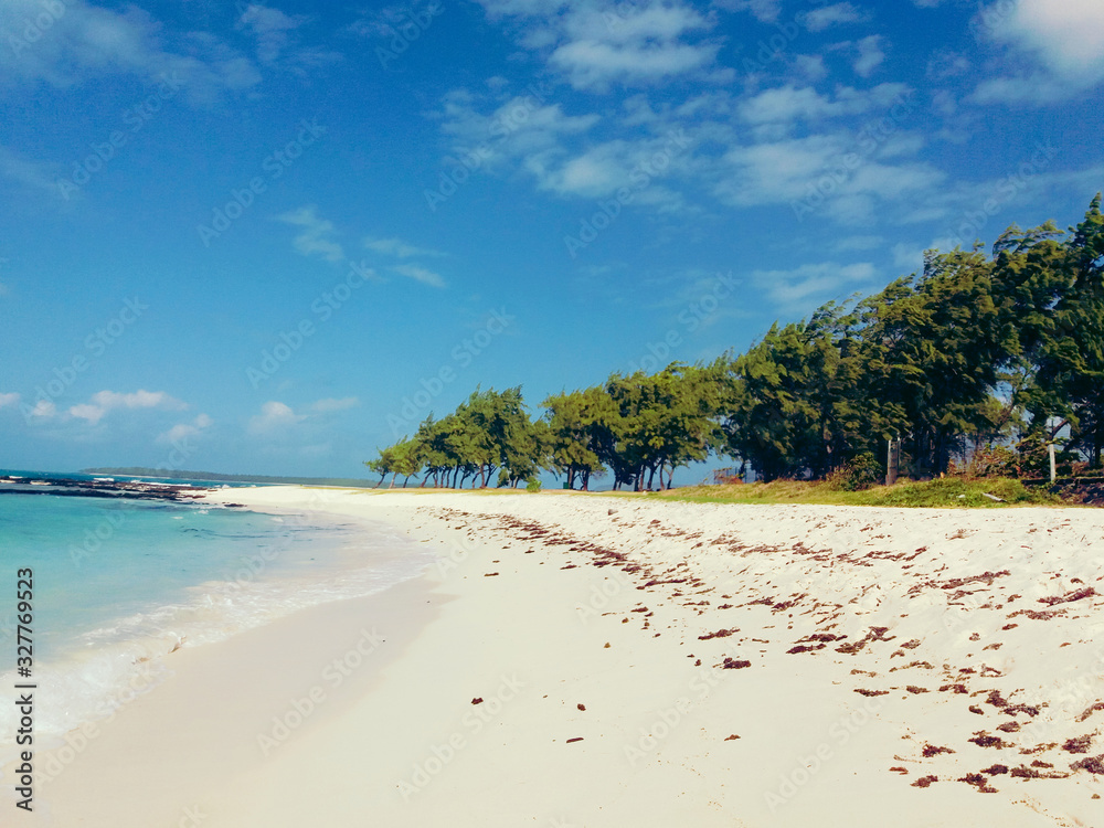 Fototapeta premium Tropical Beach