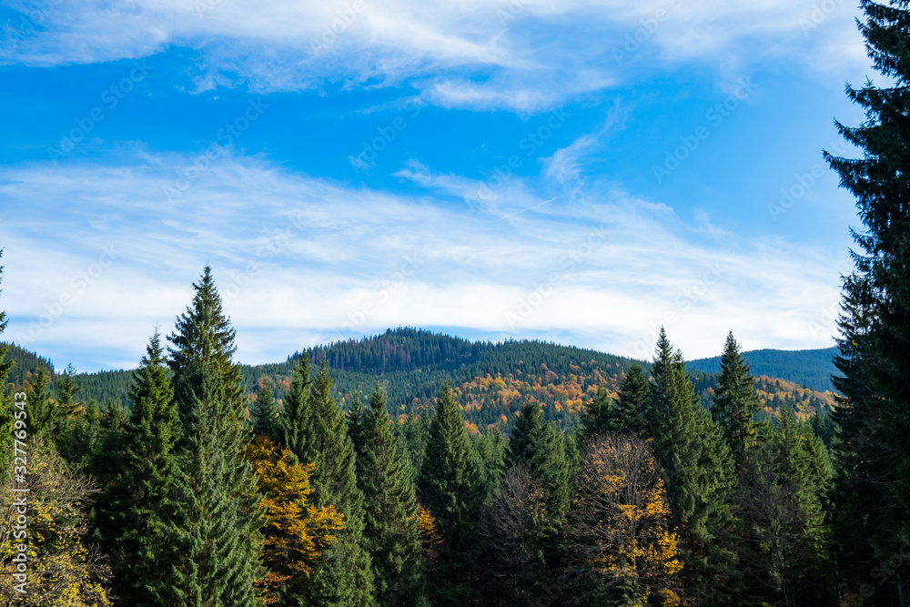 Beautiful sunny forest ant mountains in autumn time Beautiful sunny forest ant mountains in autumn time