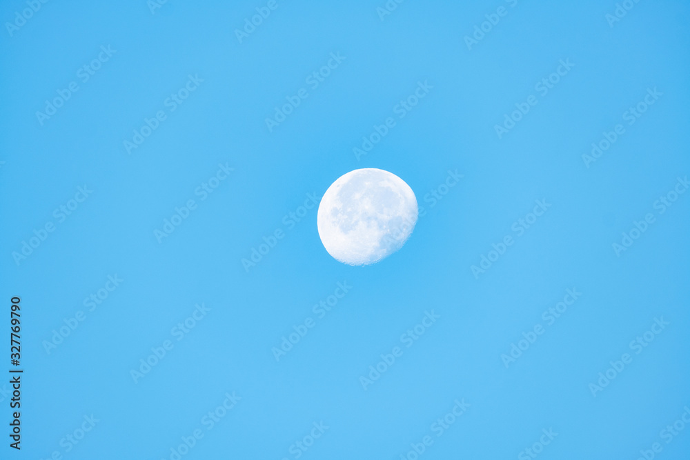 Landscape with big moon and pines and blue sky Landscape with big moon and pines and blue sky