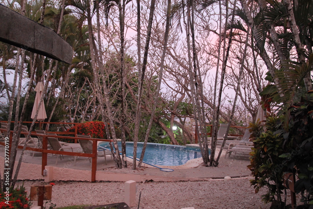 Overflowing swimming pool in the jungle Overflowing swimming pool in the jungle