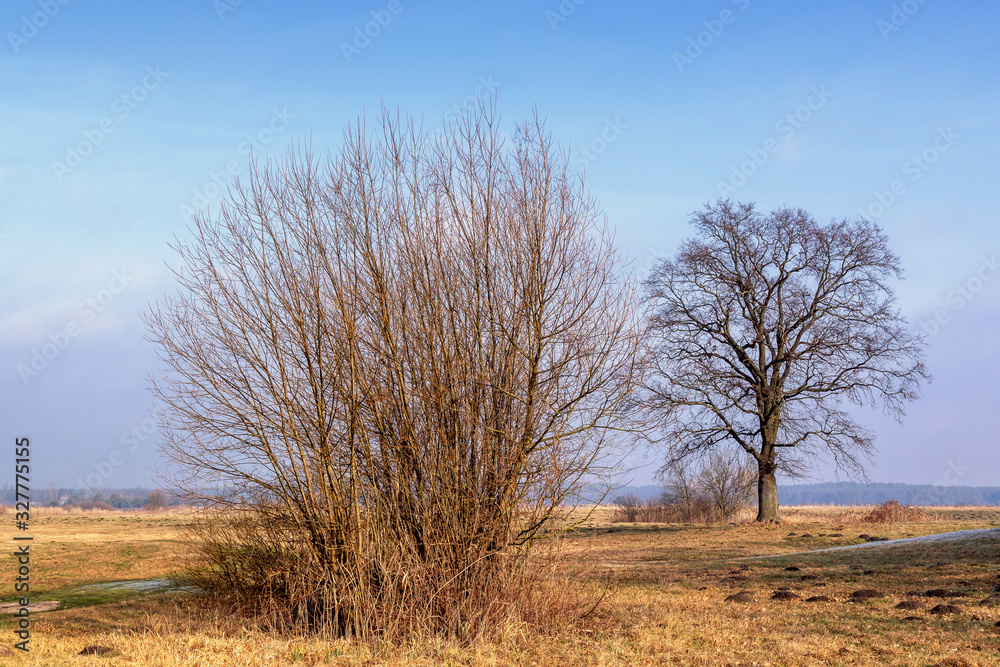 Łąki nad Narwią. Dolina Narwi. Tykocin, Kiermusy, Podlasie, Polska Łąki nad Narwią. Dolina Narwi. Tykocin, Kiermusy, Podlasie, Polska