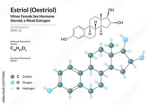 Estriol (Oestriol). Structural Chemical Formula and Molecule 3d Model. Atoms with Color Coding. Vector Illustration