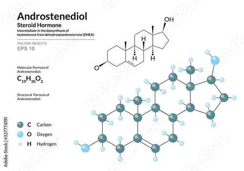 Hormone Androstenediol. Structural Chemical Formula and Molecule 3d Model. Atoms with Color Coding. Vector Illustration