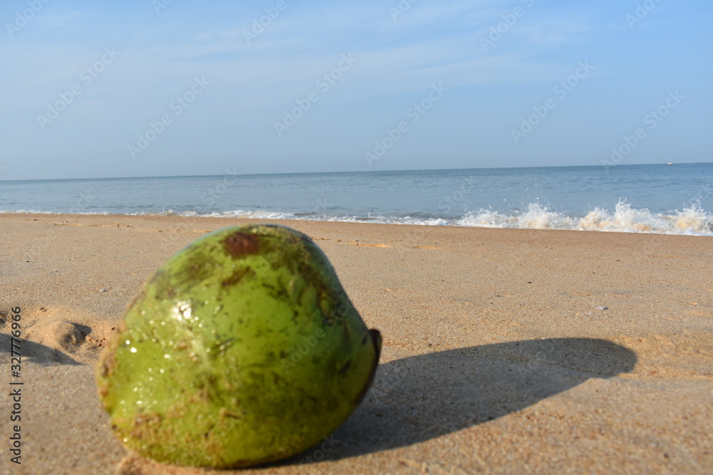 unfocussed coconut in the foreground in a beach unfocussed coconut in the foreground in a beach