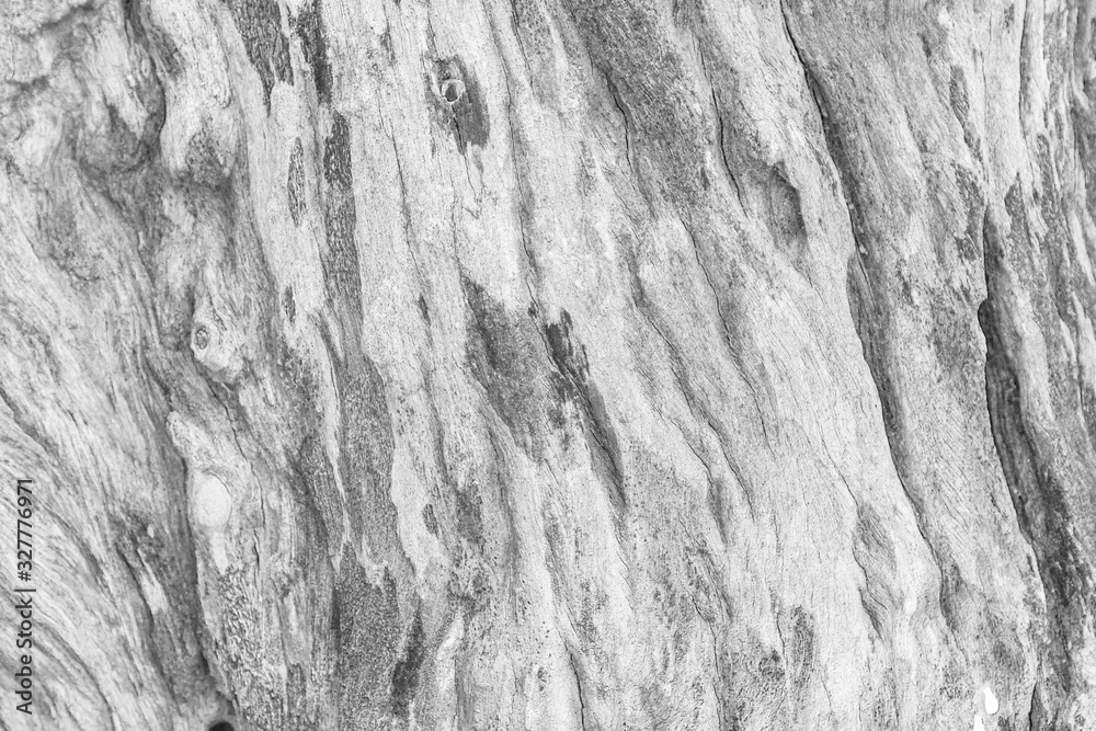 White plywood texture wooden background. White Wood surface washed soft wood surface as background texture nature. White plywood texture wooden background. White Wood surface washed soft wood surface as background texture nature.