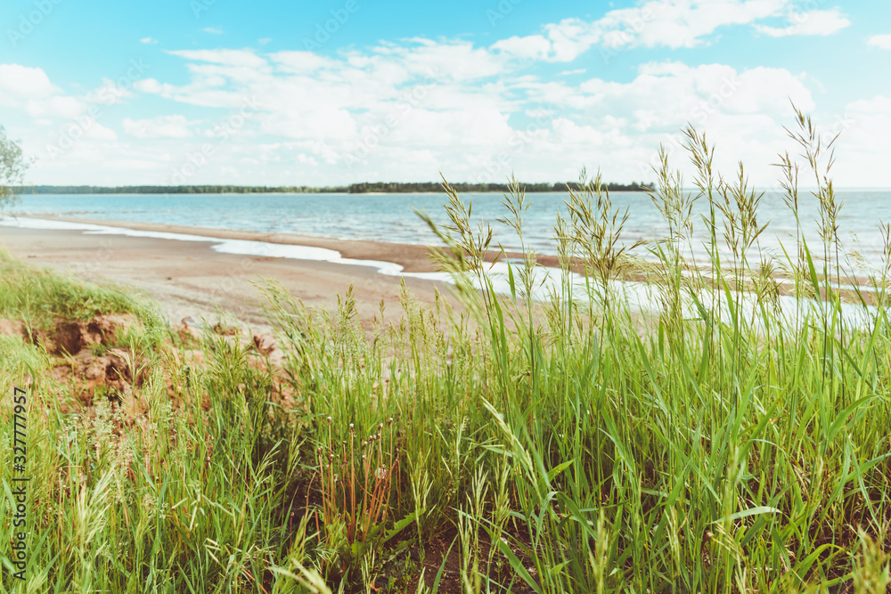 Summer day at sea. Summer seascape. Green grass. Summer day at sea. Summer seascape. Green grass.