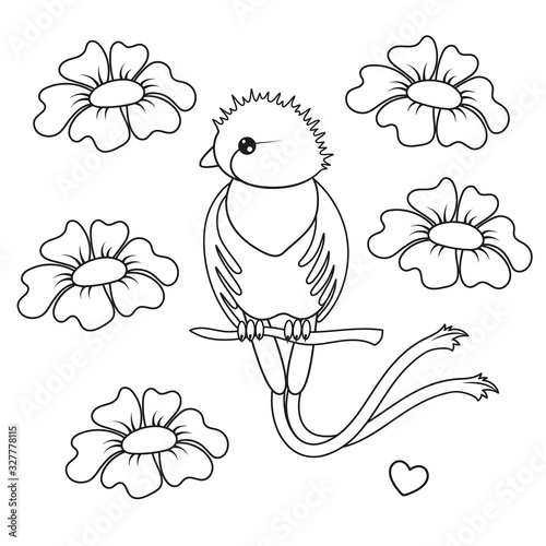 Cute quetzal and flowers outline drawing. Vector Illustration.