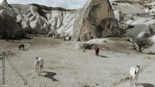 Aerial Drone Shot footage travelling and flying between fairy chimneys through valleys in Cappadocia Kapadoya Nevsehir Turkey photo