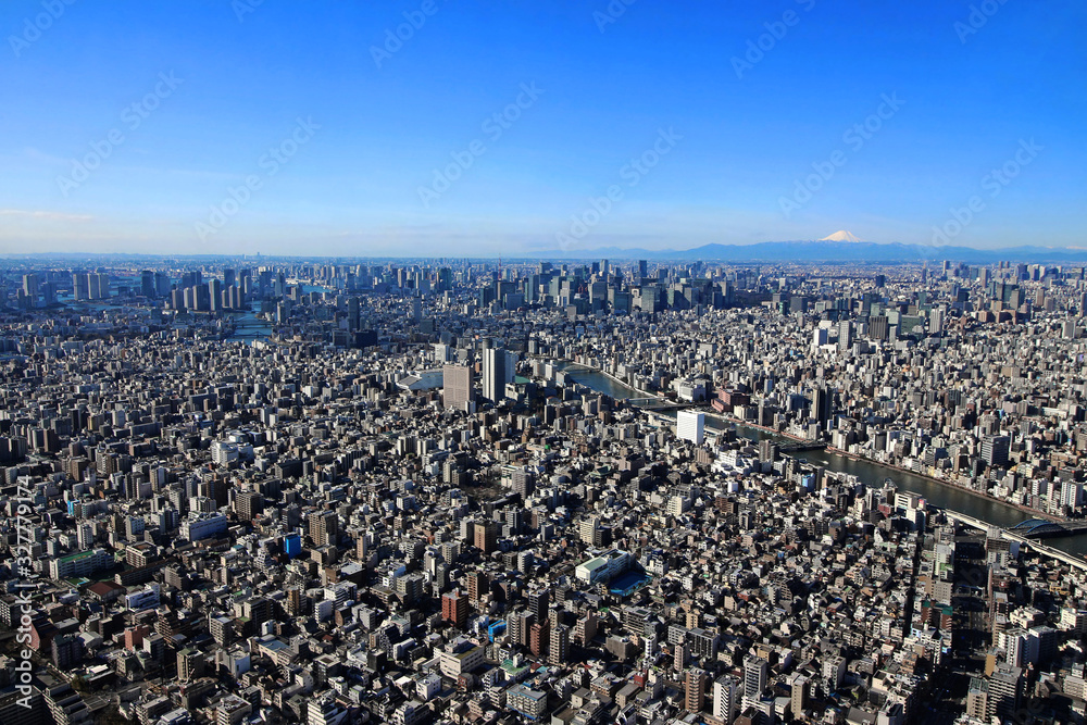 Obraz premium Panoramic view of central Tokyo and Mount Fuji
