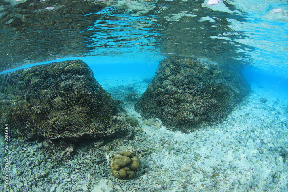 Fototapeta premium Breakwater protects the coast