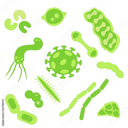 Vector set of microorganisms. Different bacteria and germs in flat style.