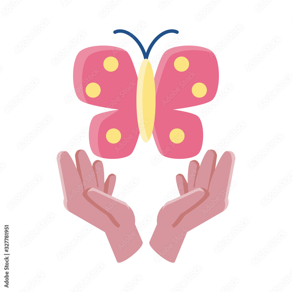 hands holding a butterfly on white background hands holding a butterfly on white background
