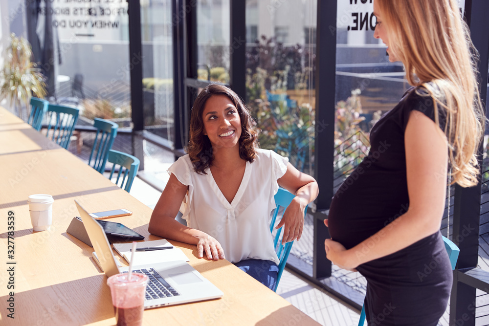 Businesswoman Using Laptop Working With Pregnant Female Colleague In Modern Office Businesswoman Using Laptop Working With Pregnant Female Colleague In Modern Office