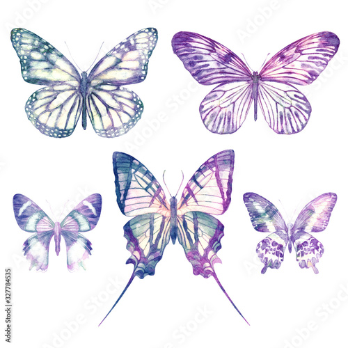 Watercolor butterflies isolated on white background. Big bright set. Abstract colorful illustration collection