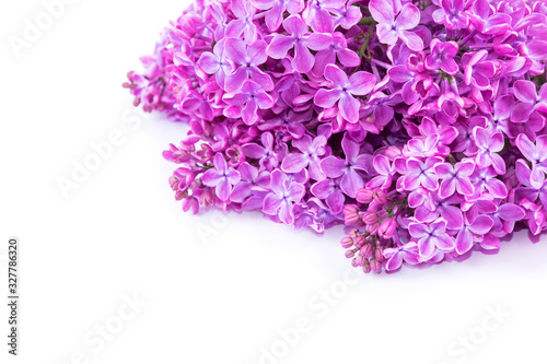 Beautiful bouquet of lilac flowers isolated on white background with copy space. Syringa vulgaris. Spring concept. Greeting card.