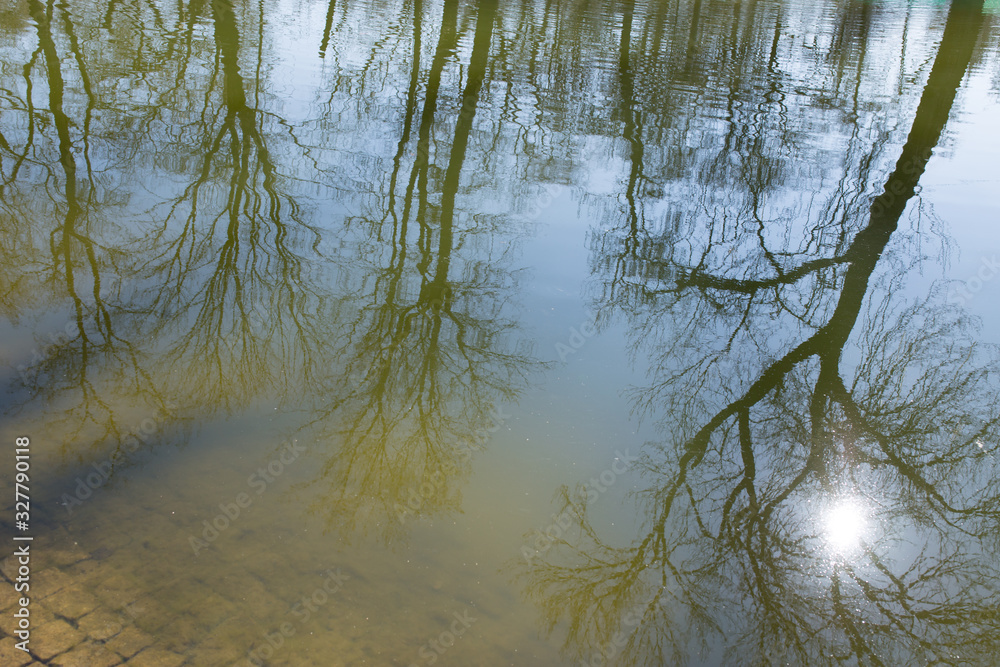 reflection in the pond