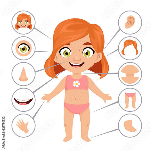 Baby or child body parts school educational poster