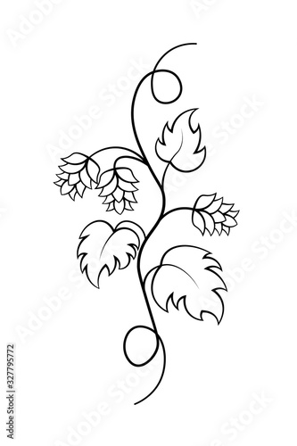 Hop vine illustration. Clipart image isolated on white background