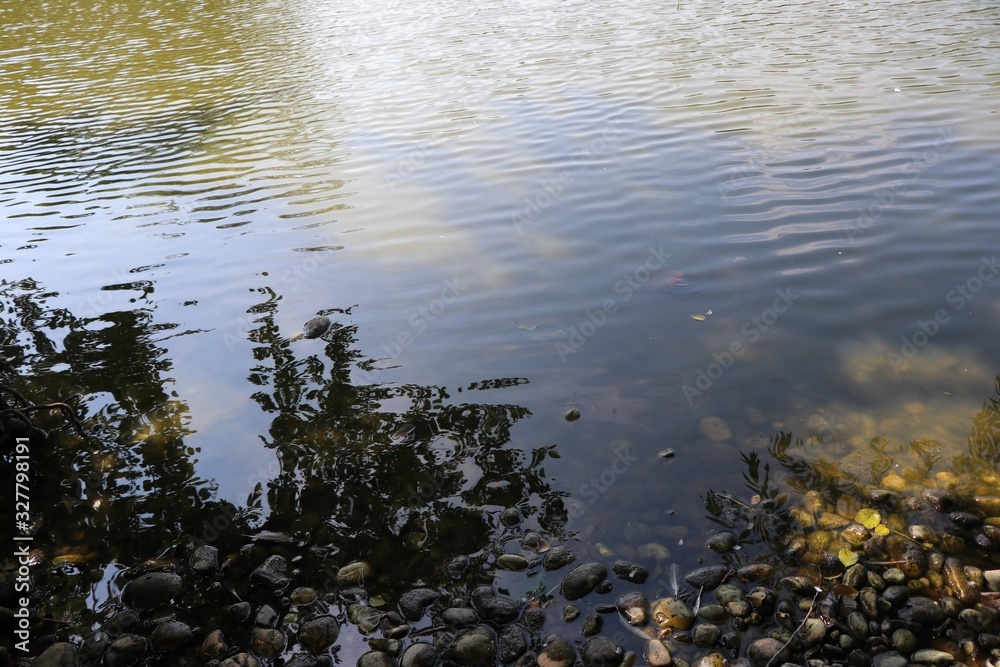 Teich