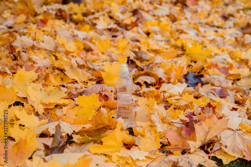 A bottle of water stands on fallen yellow, orange maple leaves. Autumn.