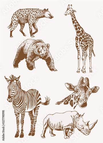 Graphical vintage set of savanna animals , sepia background,vector illustration