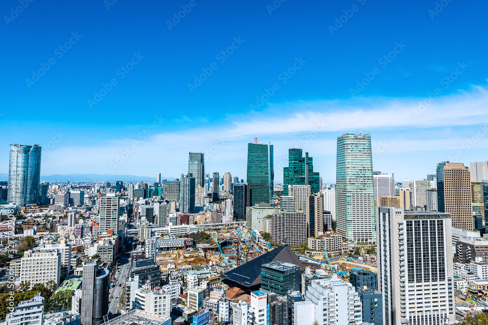 Fototapeta premium 東京の都市風景