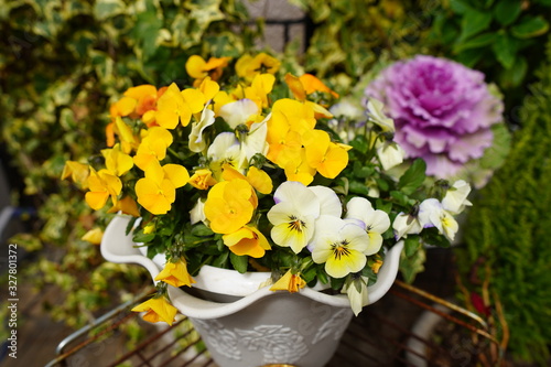 flowers in the garden