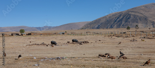Huanuco Pampa Site Tantamayo Andes Peru 