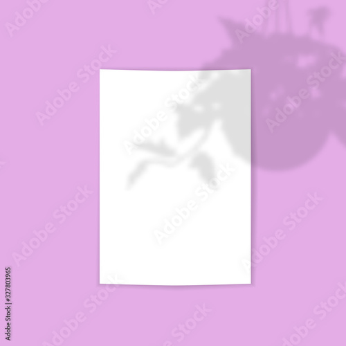 Card template with tropical plant in hanging planter shadow overlay effect decoration. vector illustration