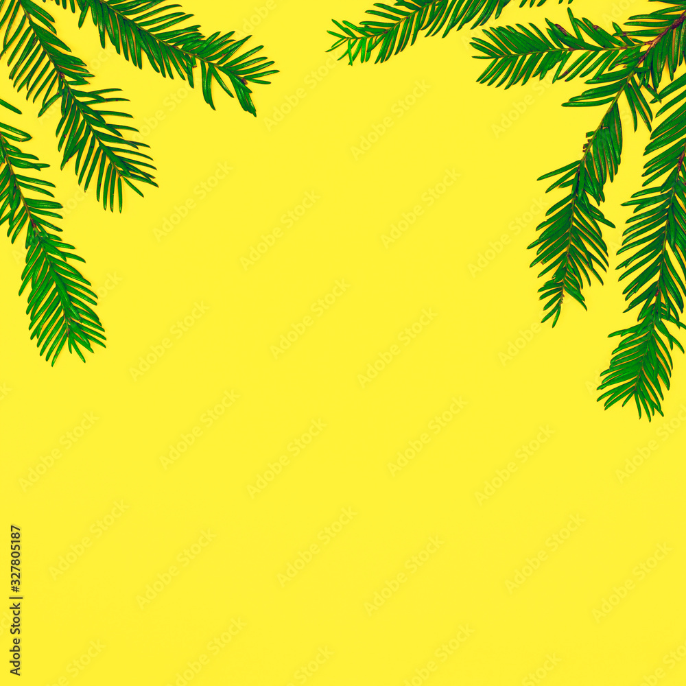Green leaves on yellow with copy space. Summer creative minimal nature background