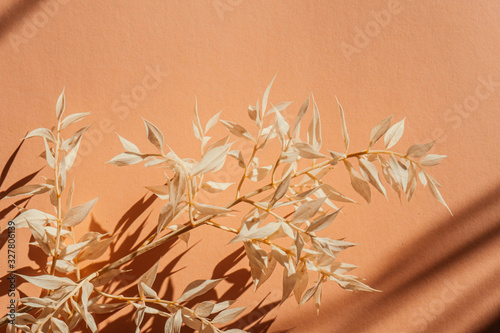 Fototapeta Naklejka Na Ścianę i Meble -  Fresh white branch on orange background with shadow