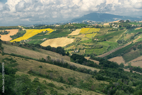 Rural landscape near Ripatransone, Marches, Italy