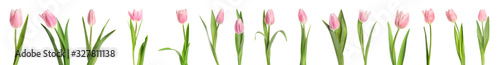 Set of beautiful spring tulips on white background. Banner design #327811138