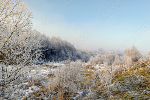Mountain landscape. Mountain view on a foggy winter morning.The forest emphasizes the perspective and atmosphere of the picture.