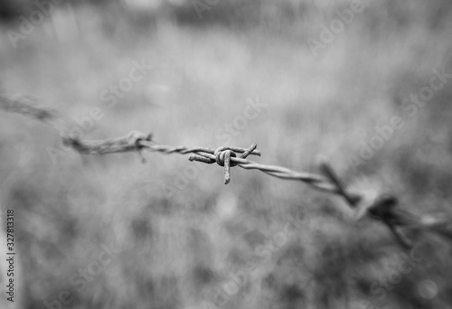 Barbed Wire Fence, Migrant Crisis