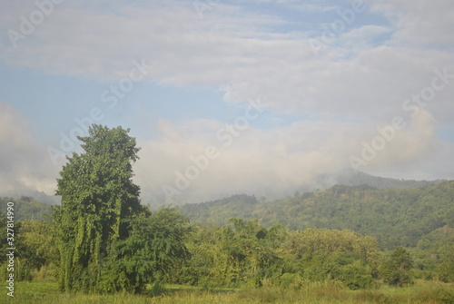 sky lanscape field green 