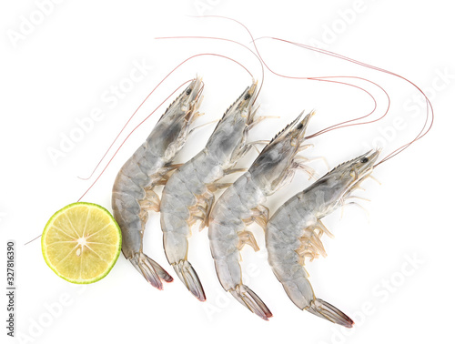 Fresh shrimps on white background photo