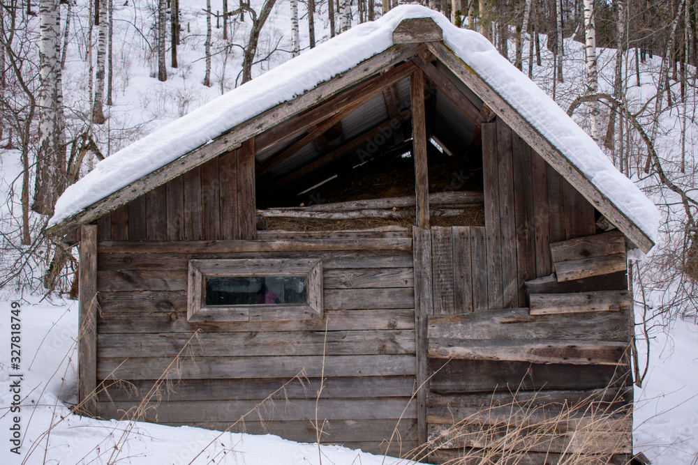 Old barn in the forest. Abandoned building made of logs and planks in winter. White snow.