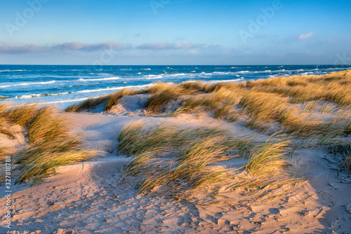 Fototapeta Naklejka Na Ścianę i Meble -  Sonniger und stürmischer Wintertag am Meer, Dünen am Strand der Ostsee im Morgenlicht, Darß, Weststrand