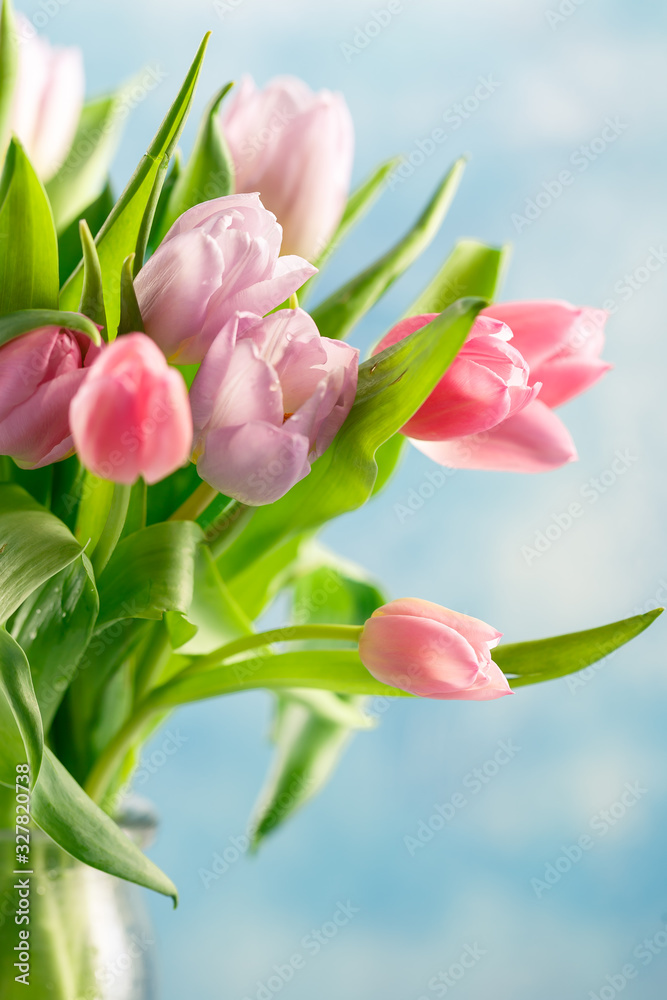 Obraz premium Bouquet of pink tulips