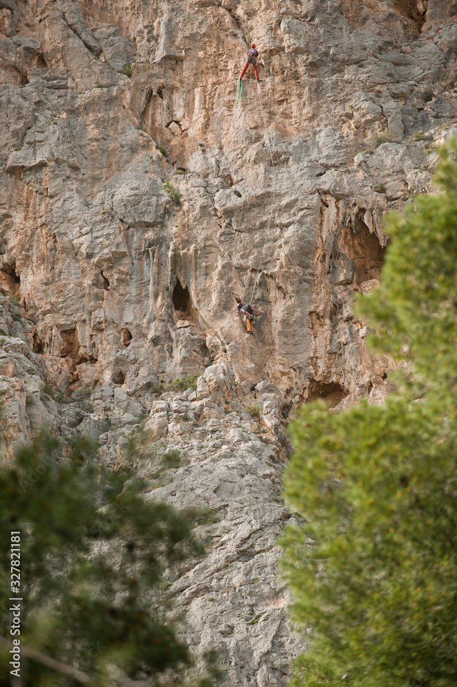 two rock wall climbers, rock climbing, with trees two rock wall climbers, rock climbing, with trees