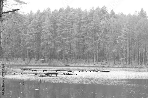 Winter view over lake with thin blue ice to opposite bank. Dry old stalks of grass and reeds on the bank, dark blue and green needles tree, naked leaves tree. Black and white photo. photo