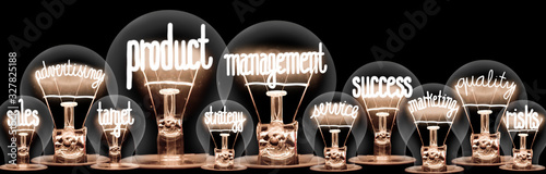 Light Bulbs with Product Management Concept