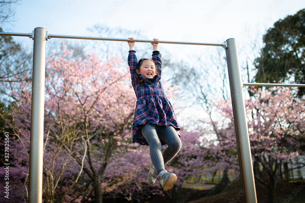 Fototapeta premium 桜が咲く公園で鉄棒をする女の子