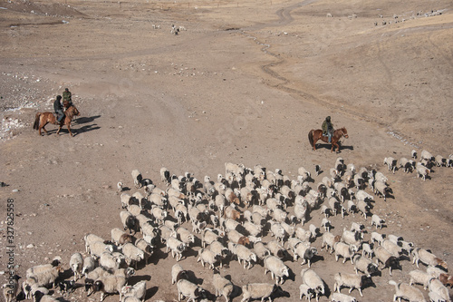 Herding lives on Silk Road from trains, Wulumuxi-Khaskar, China photo