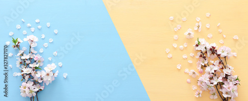 photo of spring white cherry blossom tree on pastel yellow and blue wooden background. View from above, flat lay photo