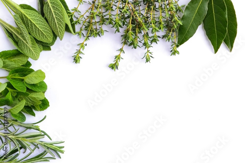 Fresh green herbs frame on white background. Space for text photo