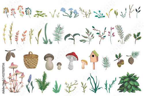 Forest plants, berries, flowers, mushrooms, plant, berry, cones. Decorative design  elements of forest flora in watercolor style. Isolated objects on white background. Vector illustration