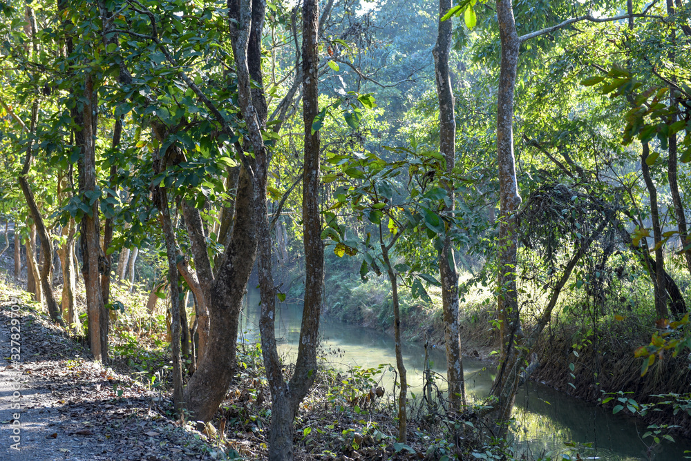 Beautiful quiet river in Chitwan National Park on Nepal Beautiful quiet river in Chitwan National Park on Nepal