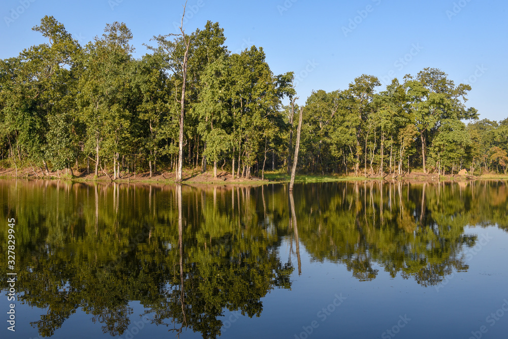 Beautiful quiet lake in Chitwan National Park on Nepal Beautiful quiet lake in Chitwan National Park on Nepal